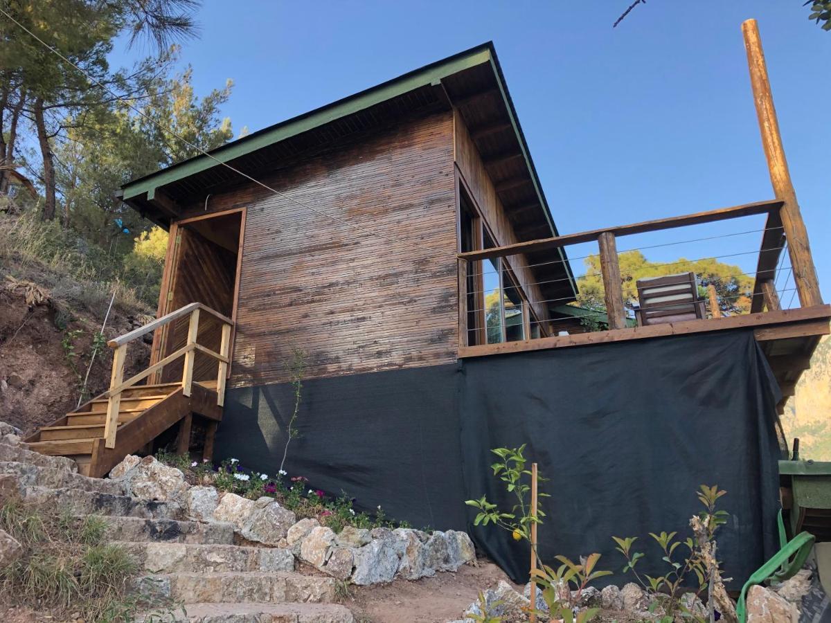 Kabak Uetopya Kamp Faralya Exteriér fotografie