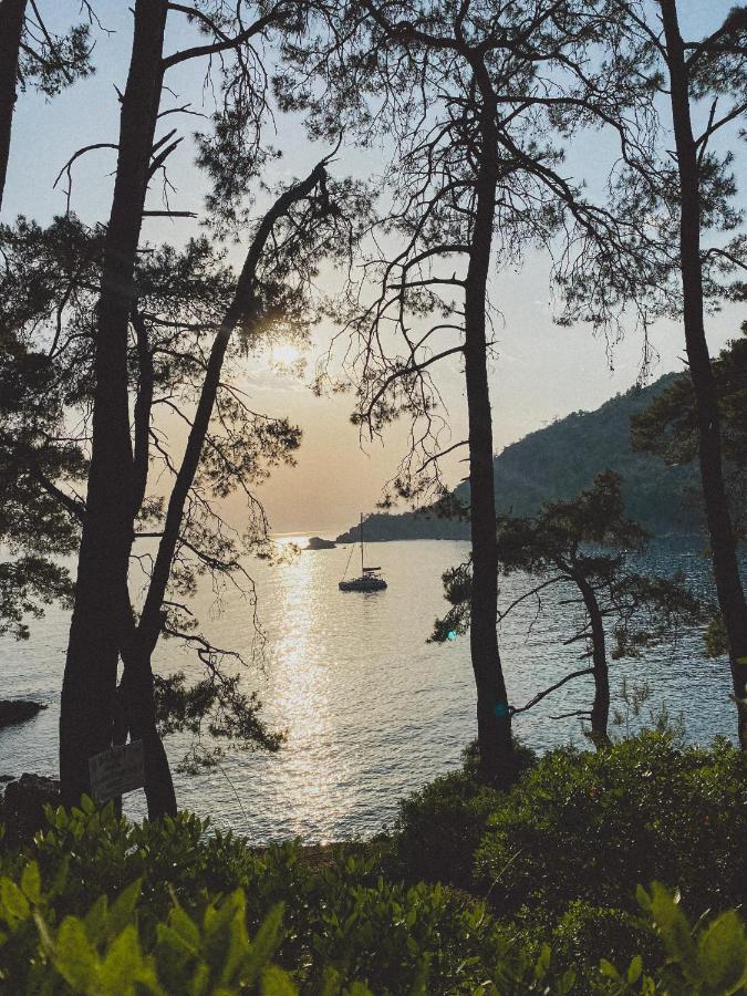 Kabak Uetopya Kamp Faralya Exteriér fotografie