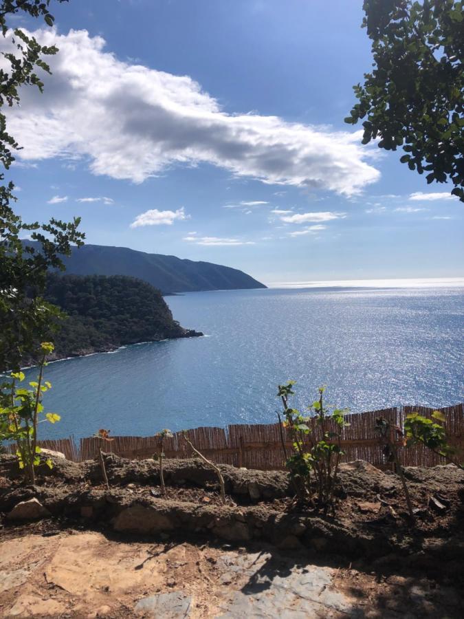 Kabak Uetopya Kamp Faralya Exteriér fotografie